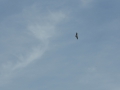 P1060259
